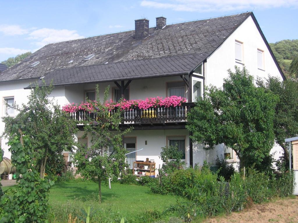 Weinfelderhof Hotell Kröv Exteriör bild