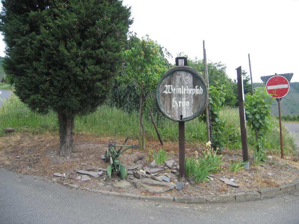 Weinfelderhof Hotell Kröv Exteriör bild